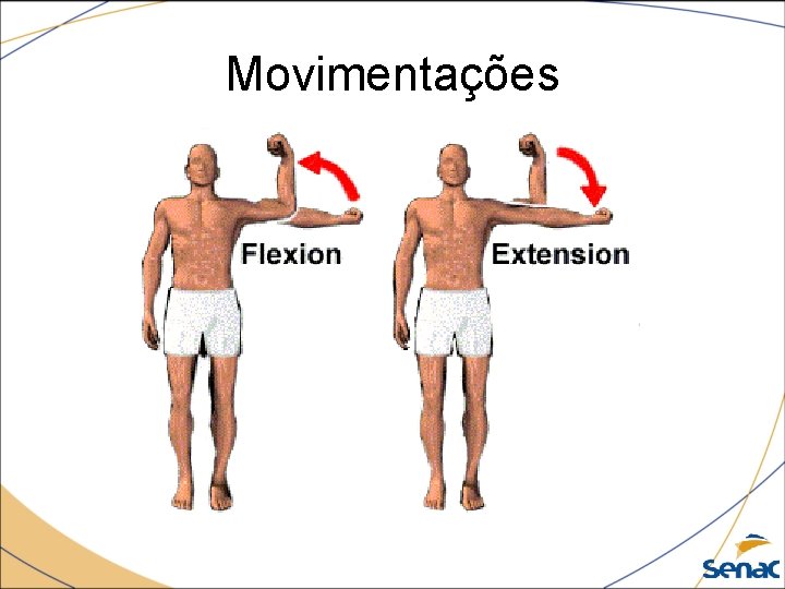 Movimentações 