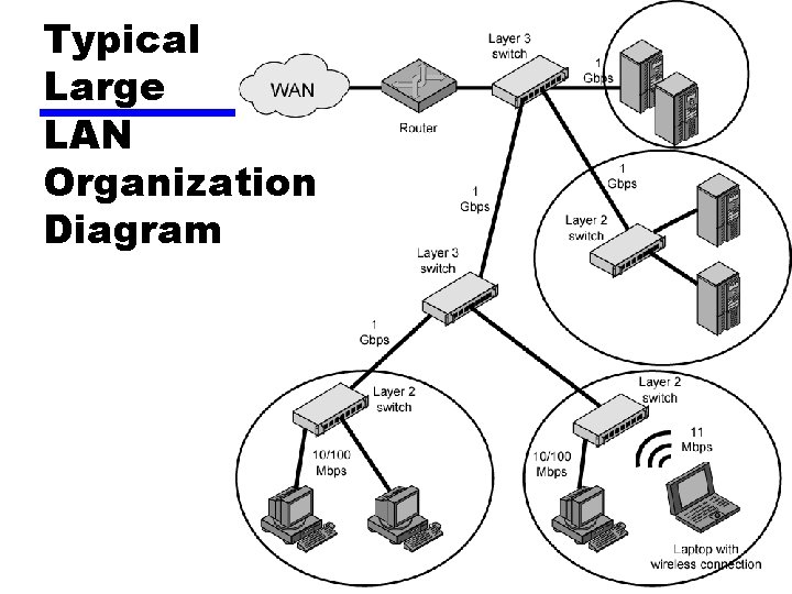 Typical Large LAN Organization Diagram 