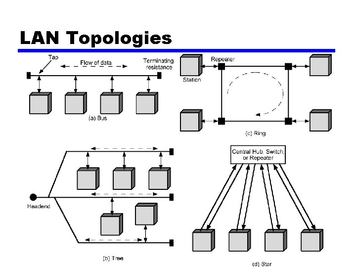 LAN Topologies 