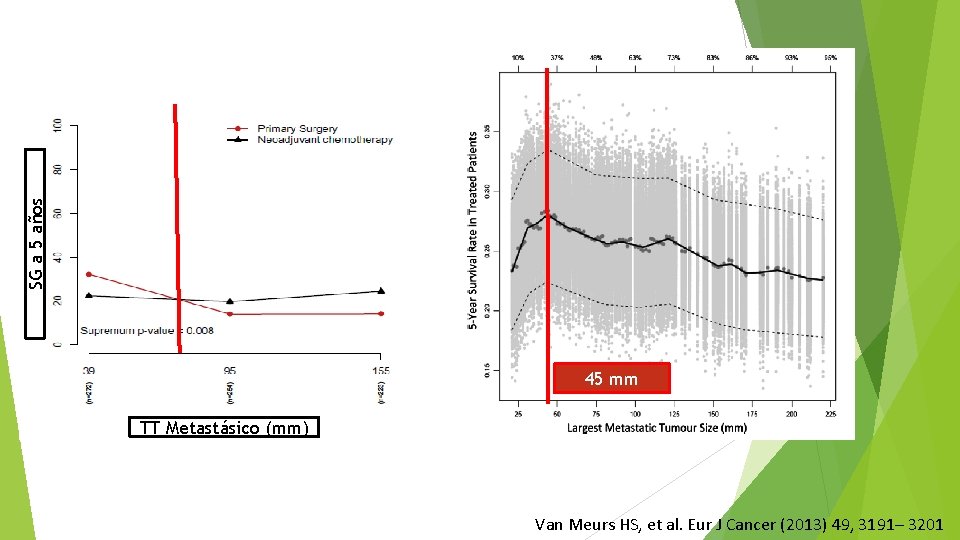 SG a 5 años 45 mm TT Metastásico (mm) Van Meurs HS, et al.