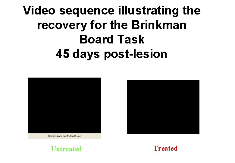 Video sequence illustrating the recovery for the Brinkman Board Task 45 days post-lesion Untreated