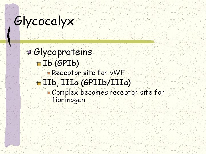 Glycocalyx Glycoproteins Ib (GPIb) Receptor site for v. WF IIb, IIIa (GPIIb/IIIa) Complex becomes