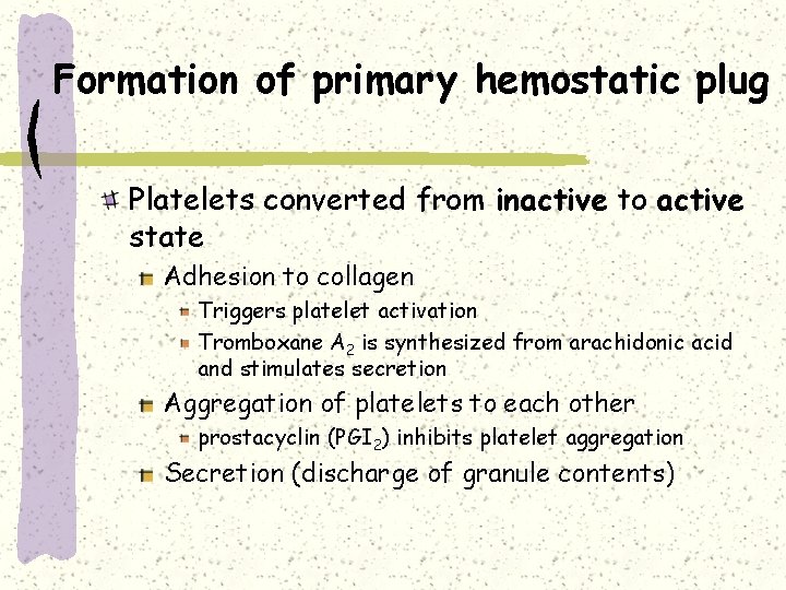 Formation of primary hemostatic plug Platelets converted from inactive to active state Adhesion to