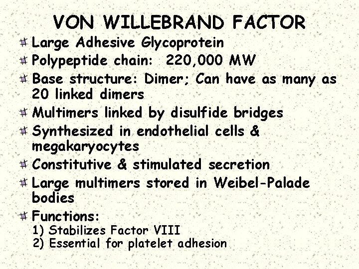 VON WILLEBRAND FACTOR Large Adhesive Glycoprotein Polypeptide chain: 220, 000 MW Base structure: Dimer;