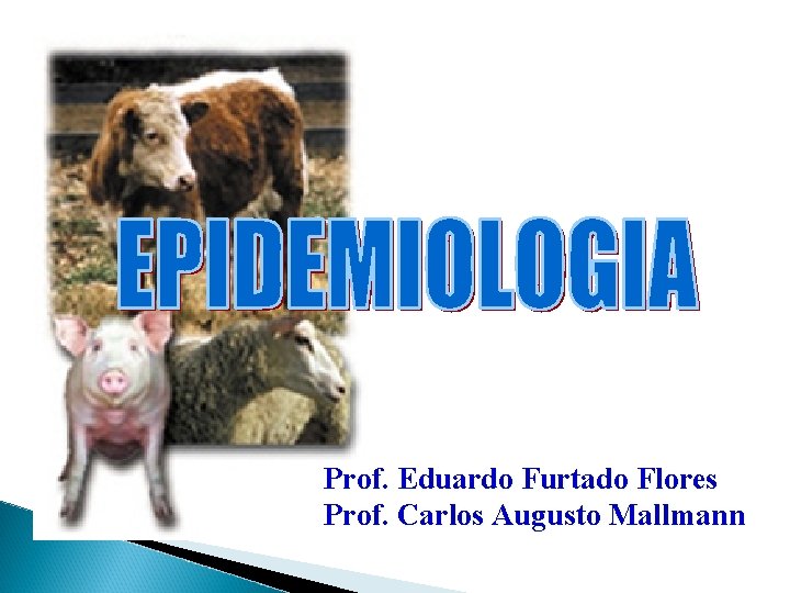 Prof. Eduardo Furtado Flores Prof. Carlos Augusto Mallmann 