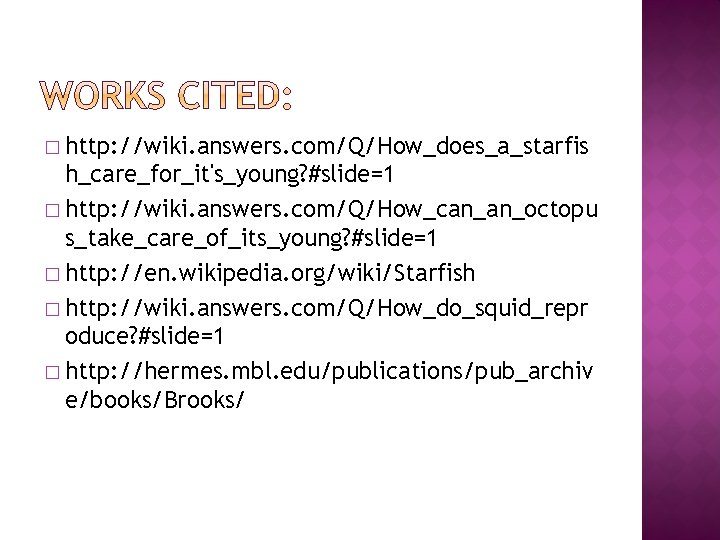 � http: //wiki. answers. com/Q/How_does_a_starfis h_care_for_it's_young? #slide=1 � http: //wiki. answers. com/Q/How_can_an_octopu s_take_care_of_its_young? #slide=1