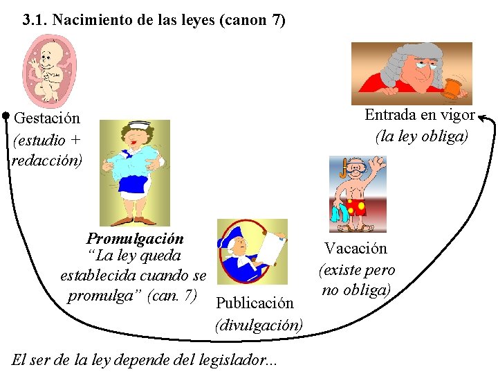 3. 1. Nacimiento de las leyes (canon 7) Gestación (estudio + redacción) Entrada en