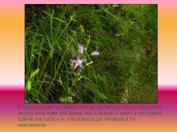 E dopo l’ora del mio amore, che tu veli nel tuo silenzio, mi troverò