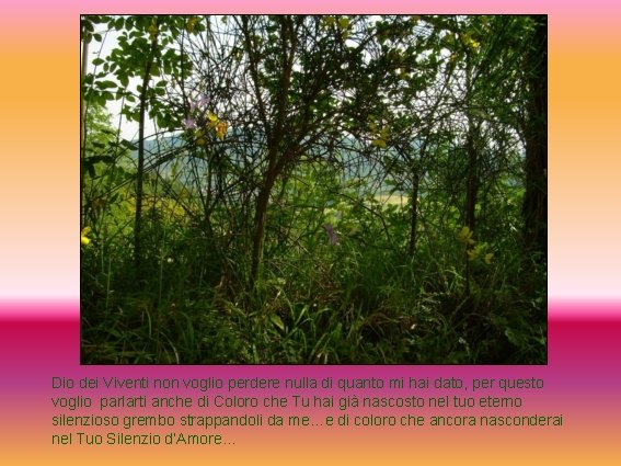 Dio dei Viventi non voglio perdere nulla di quanto mi hai dato, per questo