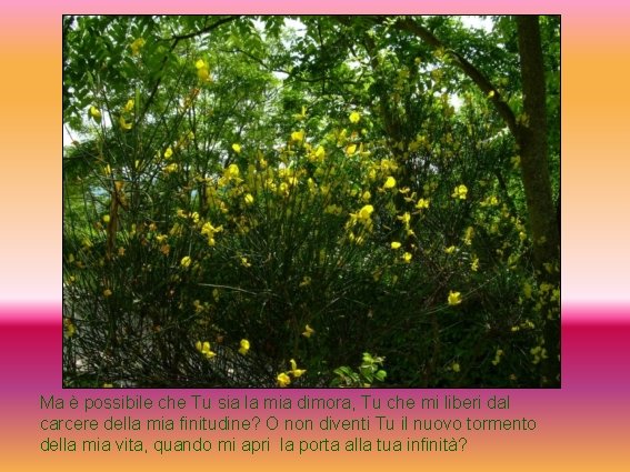 Ma è possibile che Tu sia la mia dimora, Tu che mi liberi dal