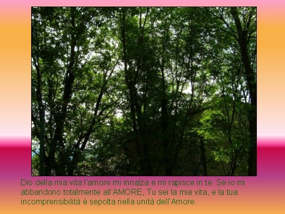 Dio della mia vita l’amore mi innalza e mi rapisce in te. Se io