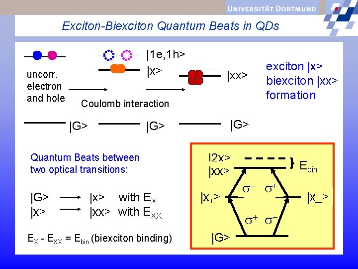Exciton-Biexciton Quantum Beats in QDs uncorr. electron and hole |1 e, 1 h> |x>