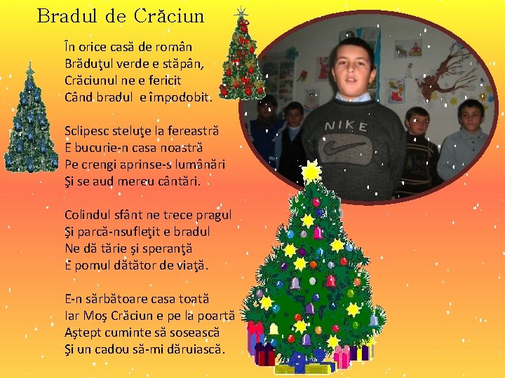 Bradul de Crăciun În orice casă de român Brăduţul verde e stăpân, Crăciunul ne