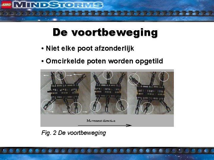 De voortbeweging • Niet elke poot afzonderlijk • Omcirkelde poten worden opgetild Fig. 2