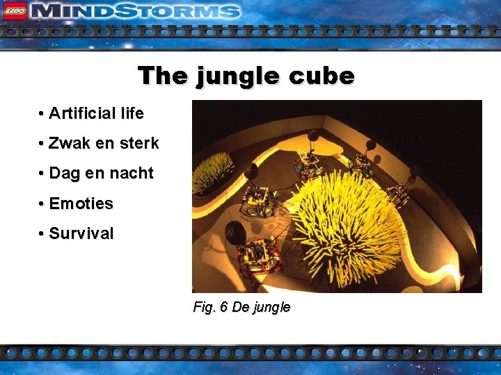 The jungle cube • Artificial life • Zwak en sterk • Dag en nacht