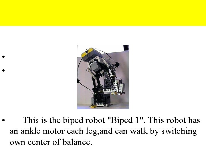  • Biped 1 • • • This is the biped robot "Biped 1".