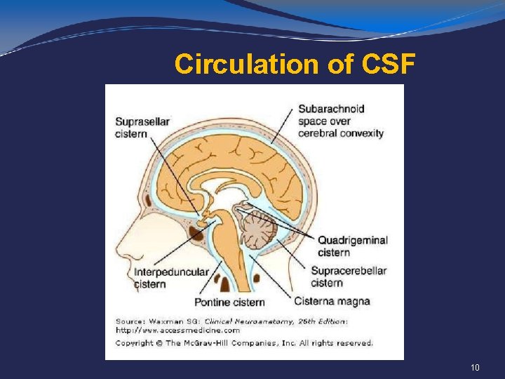 Circulation of CSF 10 