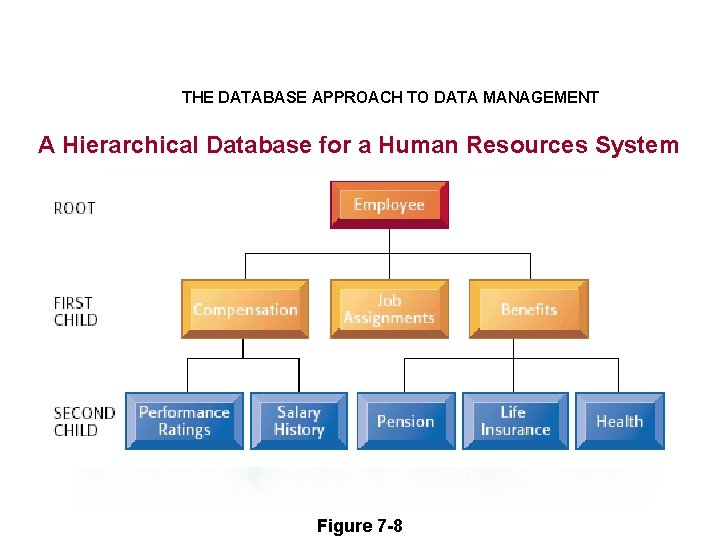 THE DATABASE APPROACH TO DATA MANAGEMENT A Hierarchical Database for a Human Resources System