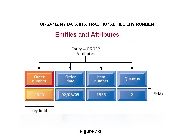 ORGANIZING DATA IN A TRADITIONAL FILE ENVIRONMENT Entities and Attributes Figure 7 -2 