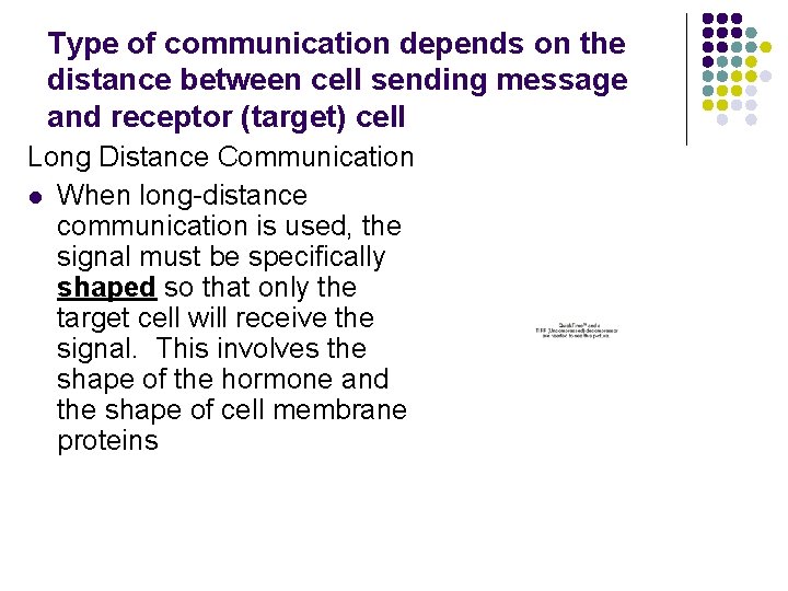 Type of communication depends on the distance between cell sending message and receptor (target)