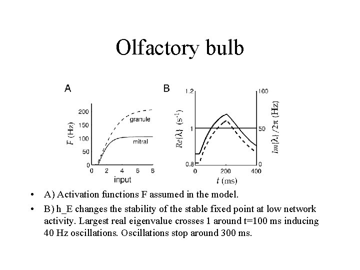 Olfactory bulb • A) Activation functions F assumed in the model. • B) h_E