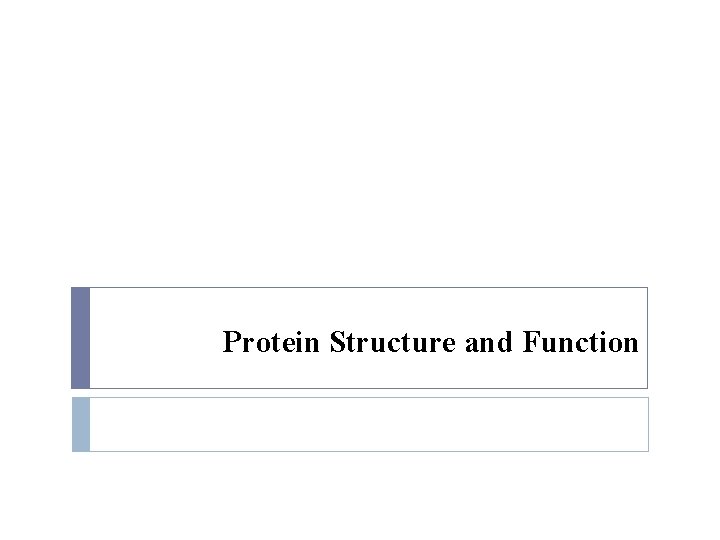 Protein Structure and Function 