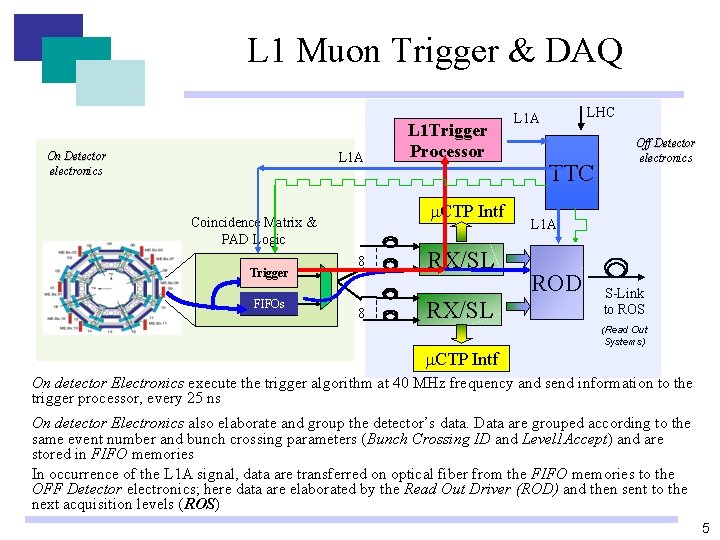 L 1 Muon Trigger & DAQ On Detector electronics L 1 A m. CTP L 1 Muon Trigger & DAQ On Detector electronics L 1 A m. CTP