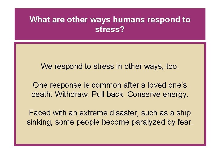 What are other ways humans respond to stress? We respond to stress in other What are other ways humans respond to stress? We respond to stress in other