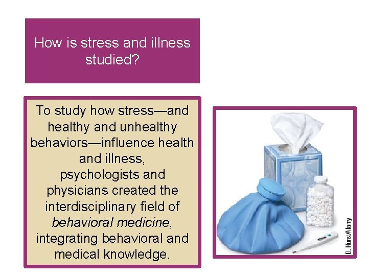 How is stress and illness studied? To study how stress—and healthy and unhealthy behaviors—influence How is stress and illness studied? To study how stress—and healthy and unhealthy behaviors—influence