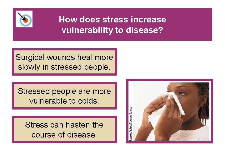 How does stress increase vulnerability to disease? Surgical wounds heal more slowly in stressed How does stress increase vulnerability to disease? Surgical wounds heal more slowly in stressed