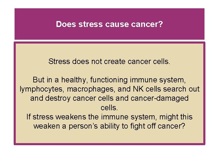 Does stress cause cancer? Stress does not create cancer cells. But in a healthy, Does stress cause cancer? Stress does not create cancer cells. But in a healthy,