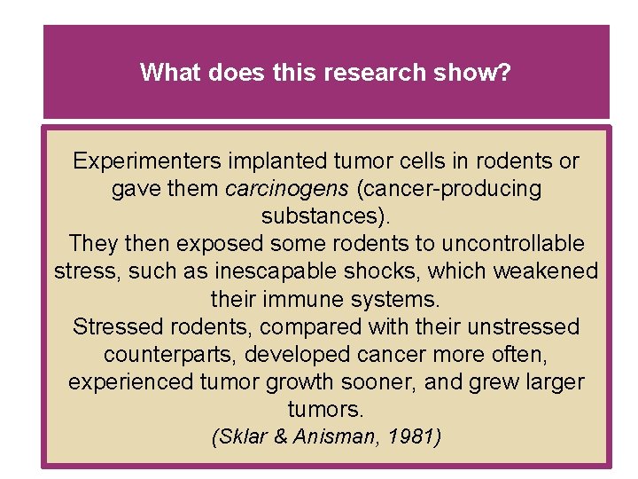 What does this research show? Experimenters implanted tumor cells in rodents or gave them What does this research show? Experimenters implanted tumor cells in rodents or gave them