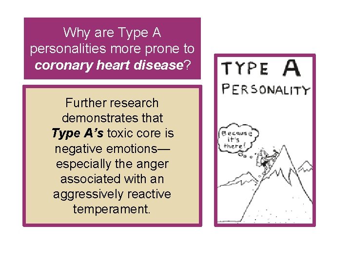 Why are Type A personalities more prone to coronary heart disease? Further research demonstrates Why are Type A personalities more prone to coronary heart disease? Further research demonstrates
