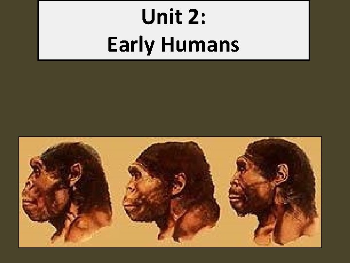 Unit 2: Early Humans 