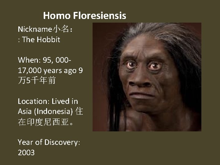 Homo Floresiensis Nickname小名： : The Hobbit When: 95, 00017, 000 years ago 9 万5千年前