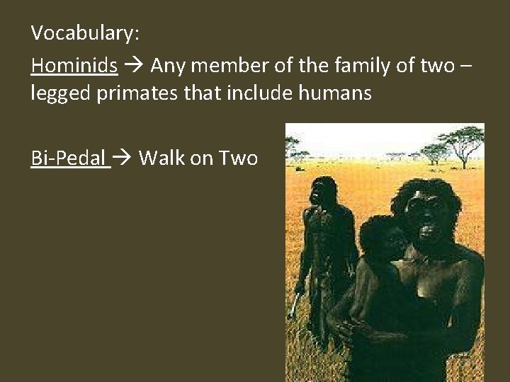 Vocabulary: Hominids Any member of the family of two – legged primates that include