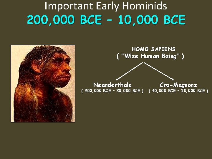 Important Early Hominids 200, 000 BCE – 10, 000 BCE HOMO SAPIENS ( “Wise