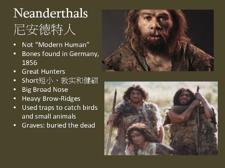Neanderthals 尼安德特人 • Not “Modern Human” • Bones found in Germany, 1856 • Great