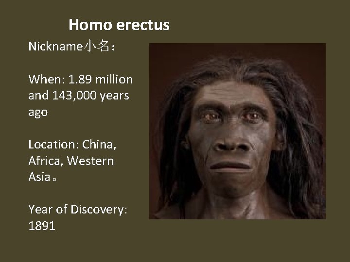 Homo erectus Nickname小名： When: 1. 89 million and 143, 000 years ago Location: China,