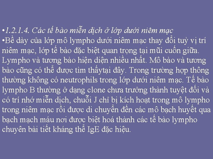 • 1. 2. 1. 4. Các tế bào miễn dịch ở lớp dưới • 1. 2. 1. 4. Các tế bào miễn dịch ở lớp dưới