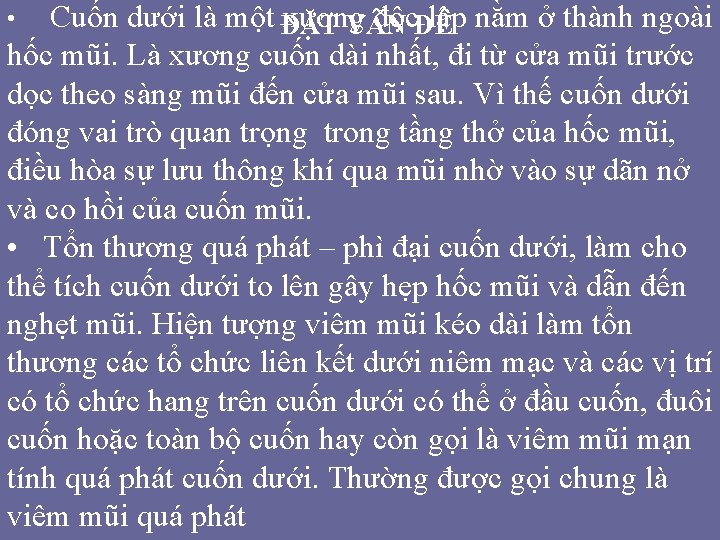 Cuốn dưới là một ĐĂ xương lập nằm ở thành ngoài T V độc Cuốn dưới là một ĐĂ xương lập nằm ở thành ngoài T V độc
