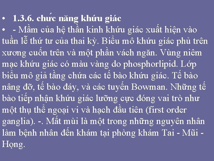 • 1. 3. 6. chư c năng khứu giác • - Mầm của • 1. 3. 6. chư c năng khứu giác • - Mầm của
