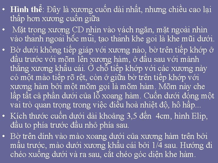 • Hình thể: Đây là xương cuốn dài nhất, nhưng chiều cao lại • Hình thể: Đây là xương cuốn dài nhất, nhưng chiều cao lại