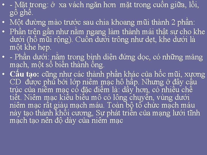 • - Mặt trong: ở xa vách ngăn hơn mặt trong cuốn giữa, • - Mặt trong: ở xa vách ngăn hơn mặt trong cuốn giữa,