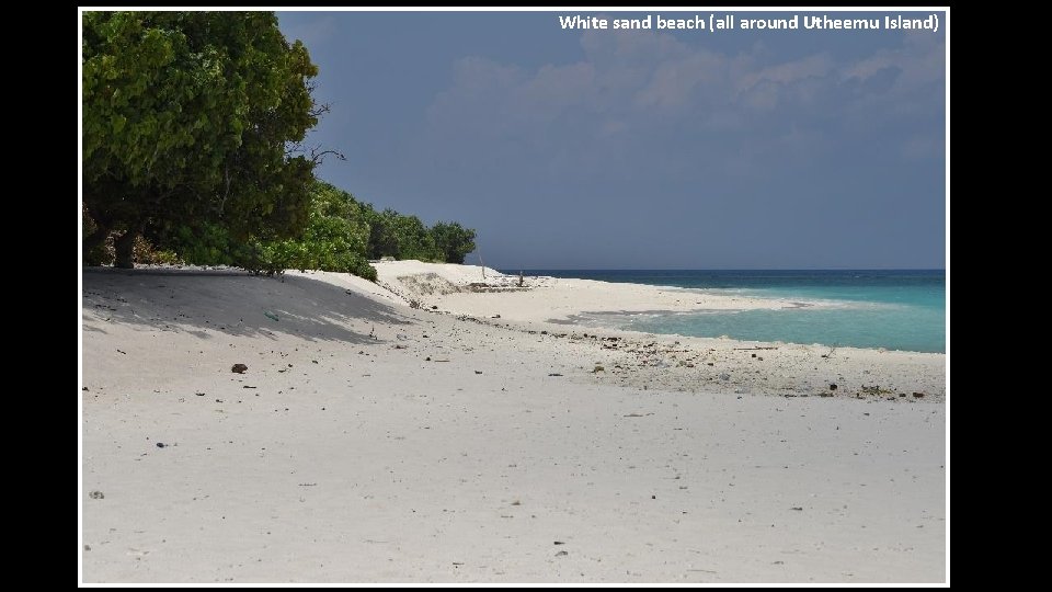 White sand beach (all around Utheemu Island) 