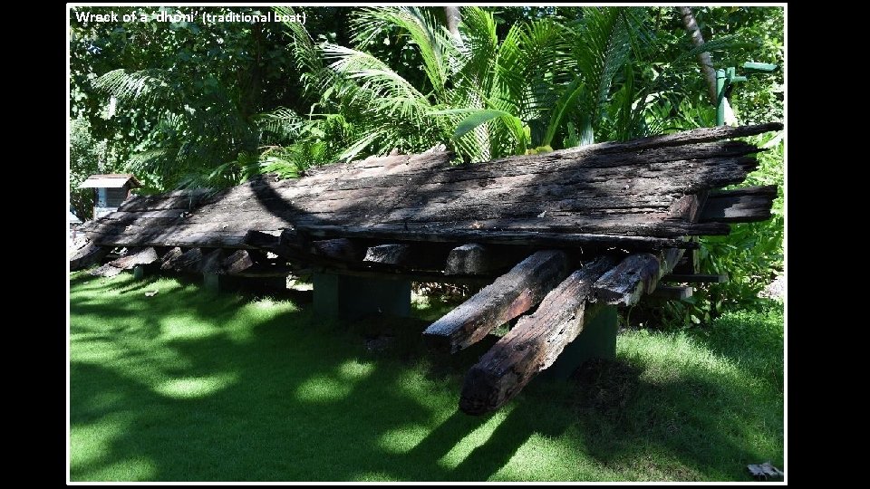 Wreck of a ‘dhoni’ (traditional boat) 