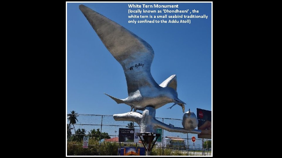 White Tern Monument (locally known as ‘Dhondheeni’ , the white tern is a small