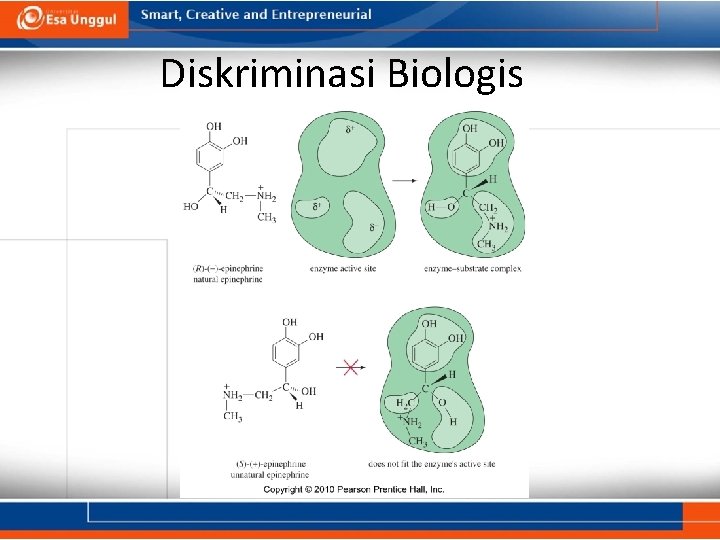 Diskriminasi Biologis 