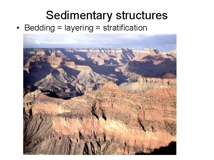 Sedimentary structures • Bedding = layering = stratification 