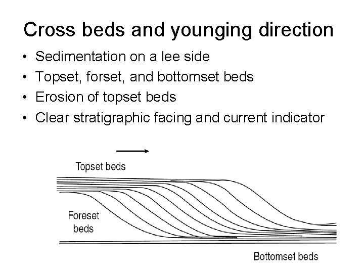 Cross beds and younging direction • • Sedimentation on a lee side Topset, forset,